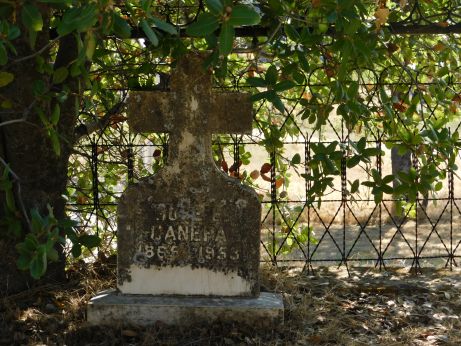 [Picture of Canepa grave]
